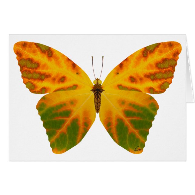 Cartão Aspen Leaf Butterfly 1 (Frente Horizontal)