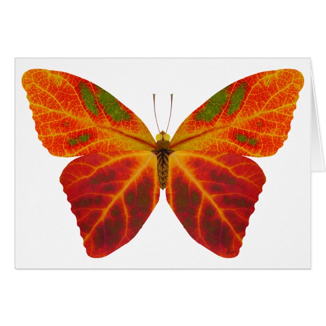 Cartão Aspen Leaf Butterfly 2 (Frente Horizontal)
