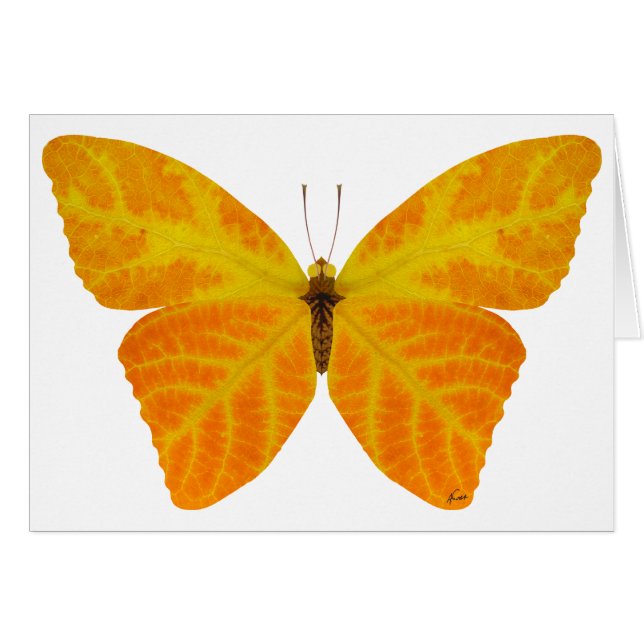 Cartão Aspen Leaf Butterfly 3 (Frente Horizontal)