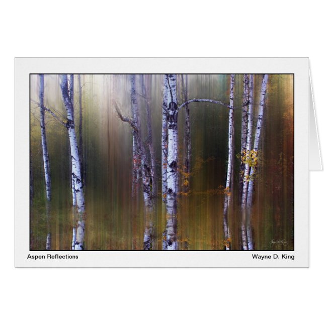 Cartão Aspen Reflexões (Frente horizontal)