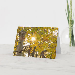 Cartão Aspen Tree With Yellow Fall Foliage And Sunburst