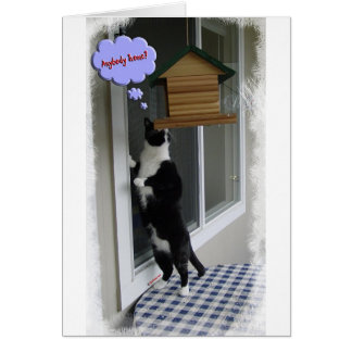 Cartão Assaltante de gato