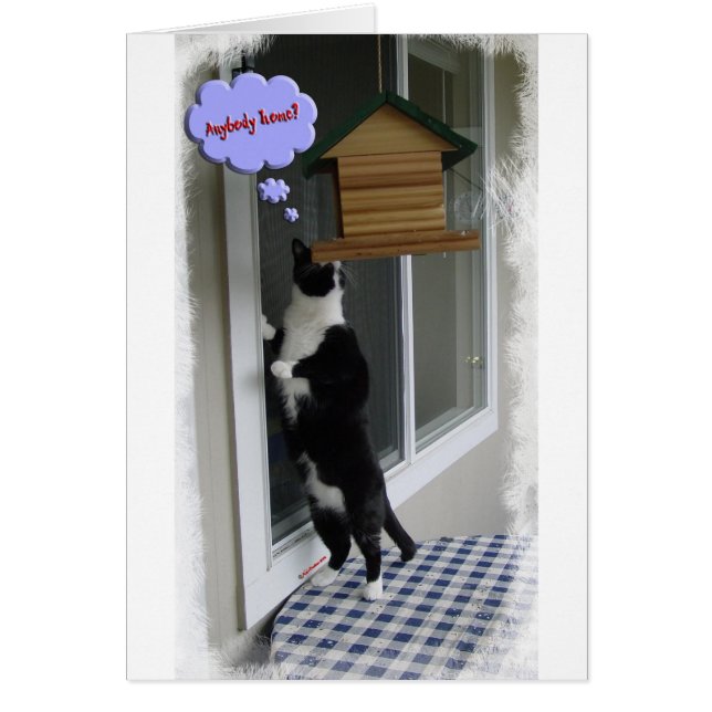 Cartão Assaltante de gato (Frente)