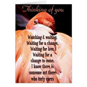 Cartão Assistindo e Esperando_