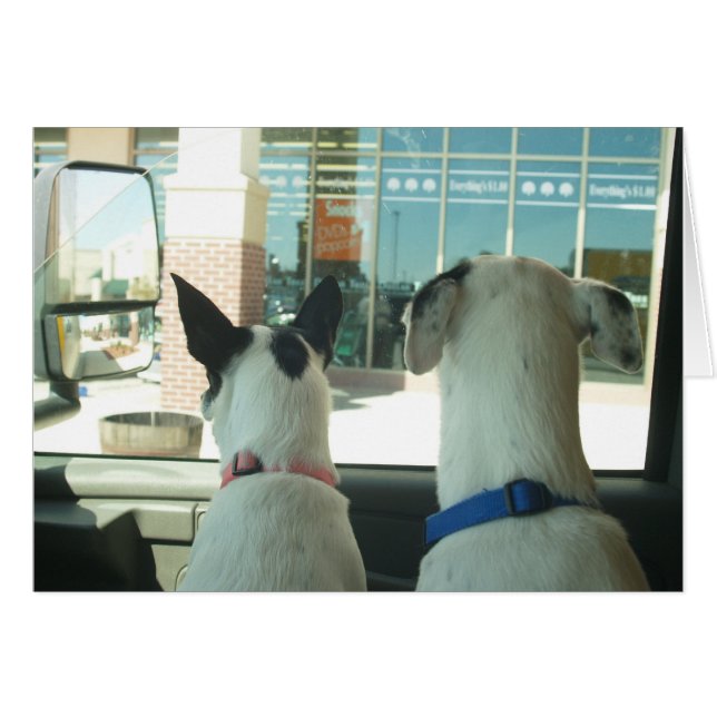 CARTÃO ASSISTIR (Frente Horizontal)