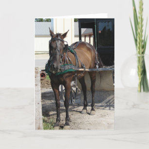 Cartão At the Hitching Post