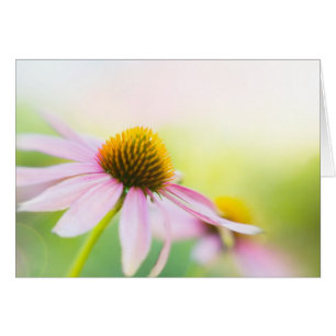 Cartão Até o achado dos raios de sol você