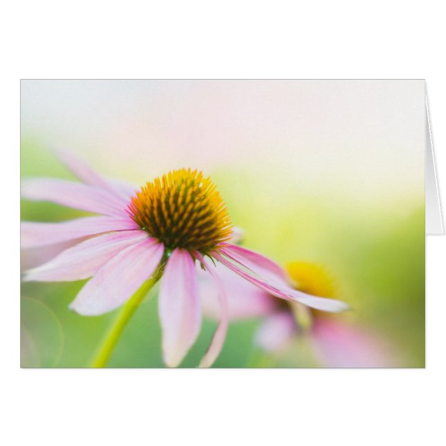 Cartão Até o achado dos raios de sol você (Frente Horizontal)