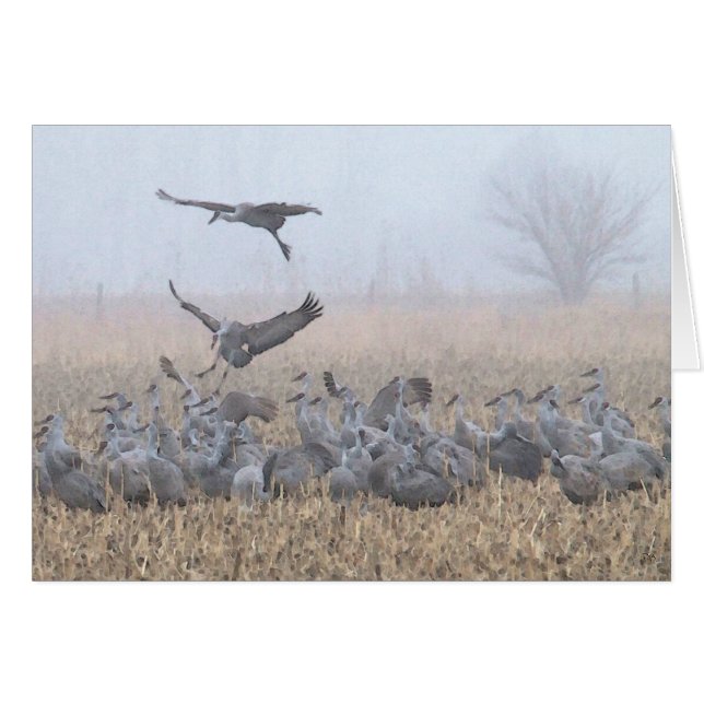 Cartão Aterragem enevoada de Nebraska da manhã (Frente Horizontal)