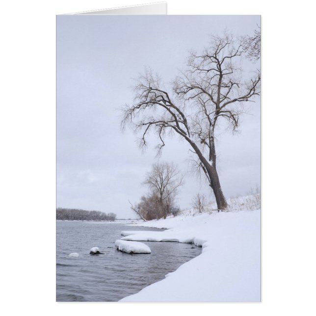 Cartão Aterrissagem de Kaposia no inverno (Frente)