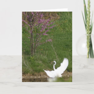 Cartão aterrissagem suave