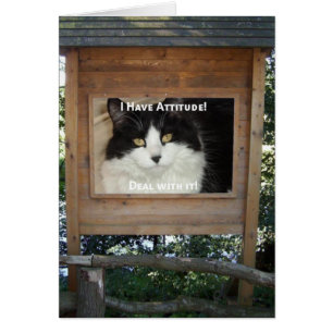 Cartão Atitude de Cat