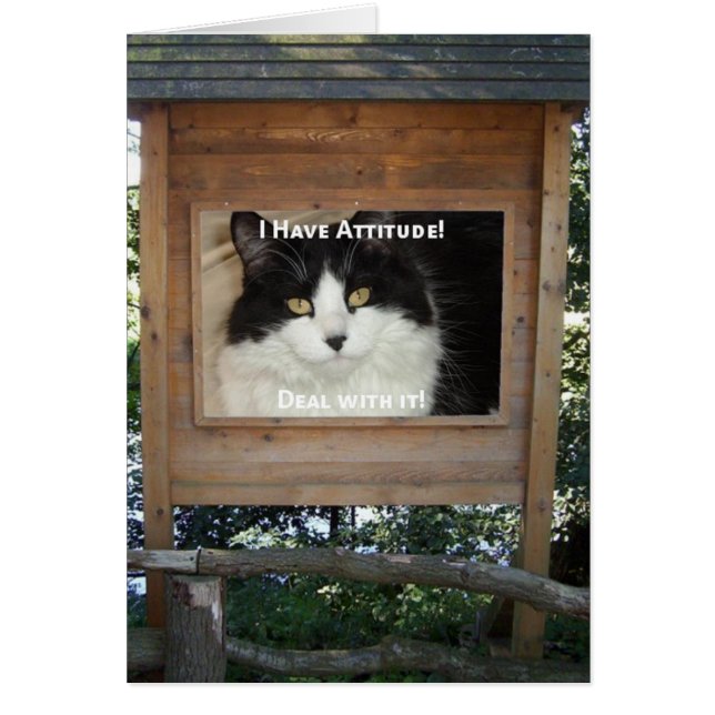 Cartão Atitude de Cat (Frente)