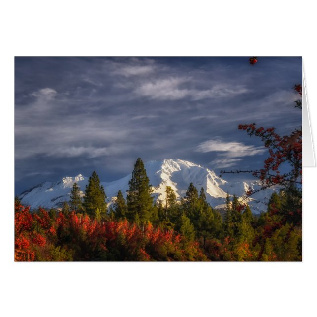 Cartão Ativando (Frente Horizontal)