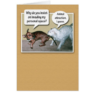 Cartão Atração animal engraçada