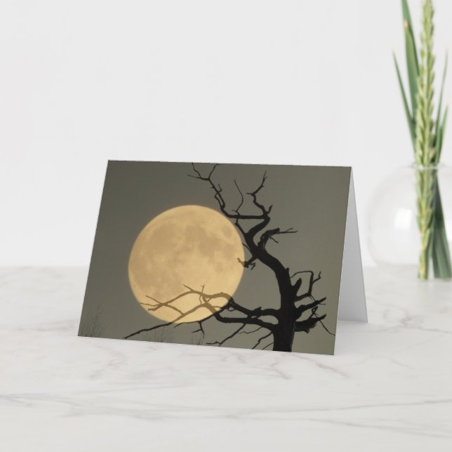 Cartão Atrás de (Frente)