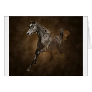 Cartão Através da poeira