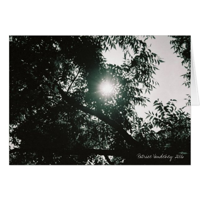 Cartão Através do espelho (Frente horizontal)