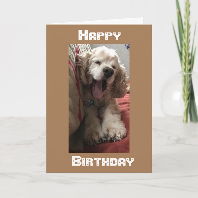 CARTÃO *ATRAVÉS DOS MILES* QUERIA QUE ESTIVESSE NO ANIVER (Frente)