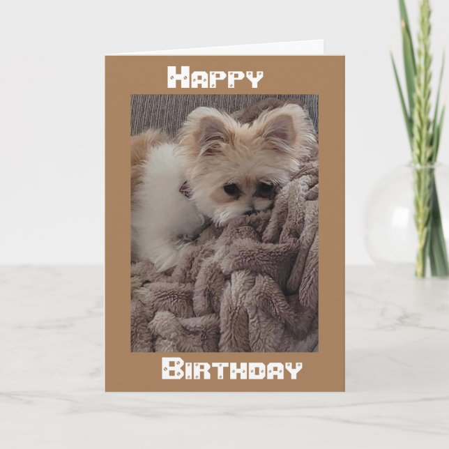 CARTÃO *ATRAVÉS DOS MILES* QUERIA QUE ESTIVESSE NO ANIVER (Frente)