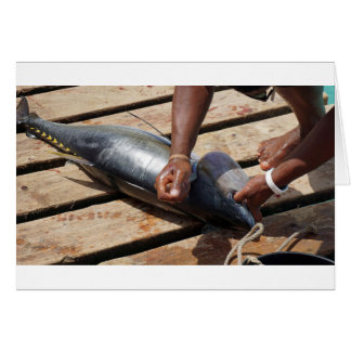 Cartão atum de barbatana amarela