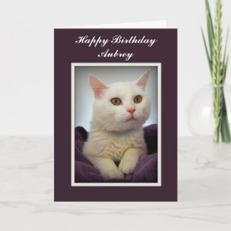 Cartão Aubrey Happy Birthday White Cat Card