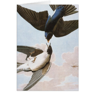 Cartão Audubon: Andorinha de árvore