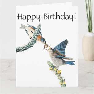Cartão Audubon Bluebird Bird Wildlife Birthday Card