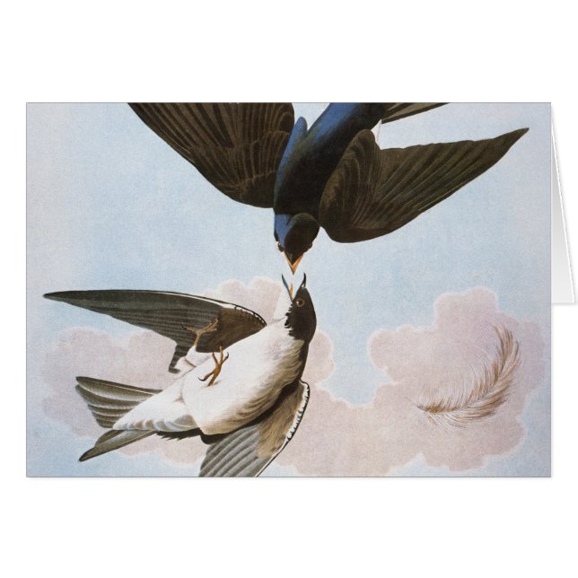 Cartão Audubon: Engolir Árvore (Frente horizontal)