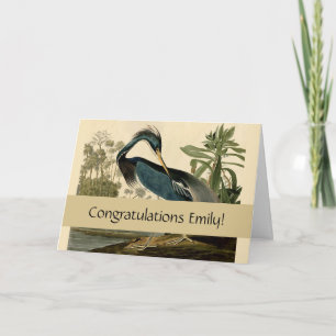 Cartão Audubon Louisiana Heron Birds América Art