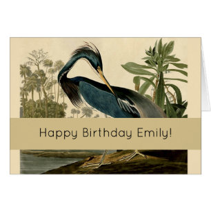 Cartão Audubon Louisiana Heron Birds América Art