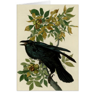 Cartão Audubon Raven Bird Classic Trabalho de arte