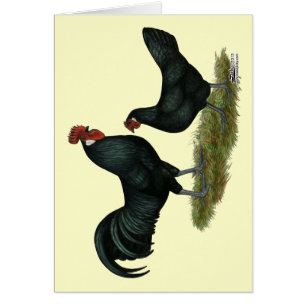 Cartão Augsburger Chickens