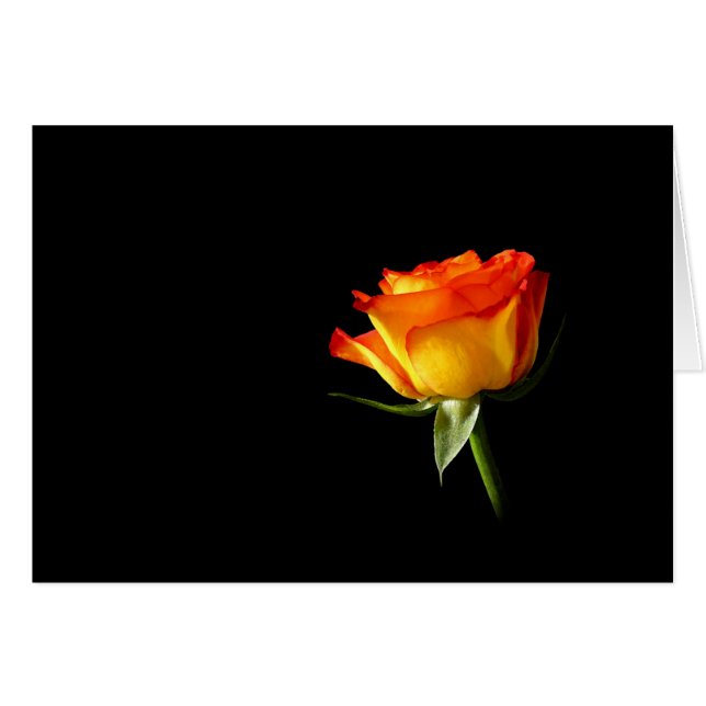 Cartão Aumentou (Frente Horizontal)