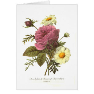 Cartão Aumentou e o crisântemo