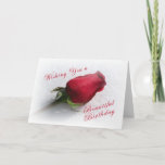 Cartão Aumentou na neve - personalize a mensagem<br><div class="desc">Nada diz tanto quanto belamente como rosa-se é amor ou sinceridade. Escolha elegante para o qualquer um-amigo,  o companheiro ou o amante. Use as palavras incluídas ou adicione seus próprios.</div>