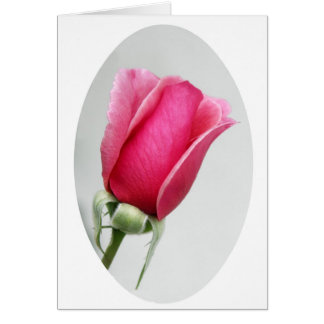 Cartão Aumentou no Oval