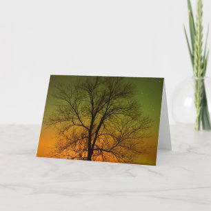 Cartão Aurora Boreal & Árvore de Algodão