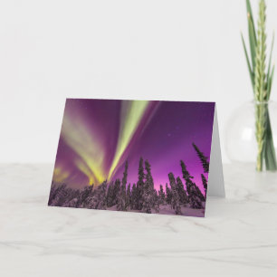 Cartão Aurora Boreal Luzes do Norte Fairbanks Alasca