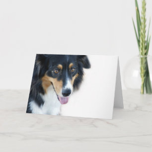 Cartão Aussie Dog Blank Card