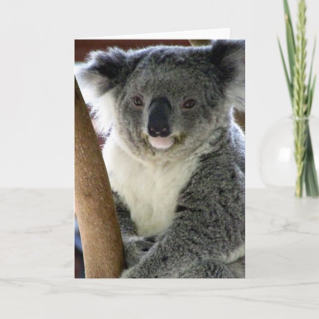 Cartão aussie koala (Frente)