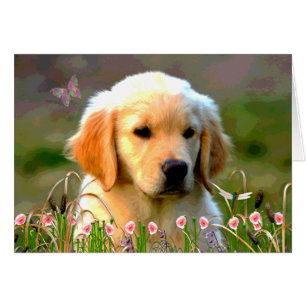 Cartão Austin o Labrador dourado