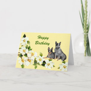 Cartão Australian Cattle Dog Happy Birthday