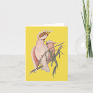 Cartão Australian Galah Card John Gould