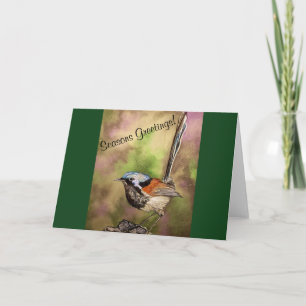 Cartão Australian Splendid Fairy Wren