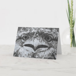 Cartão Australian Wildlife, Nature's Curmudgeon, Animal