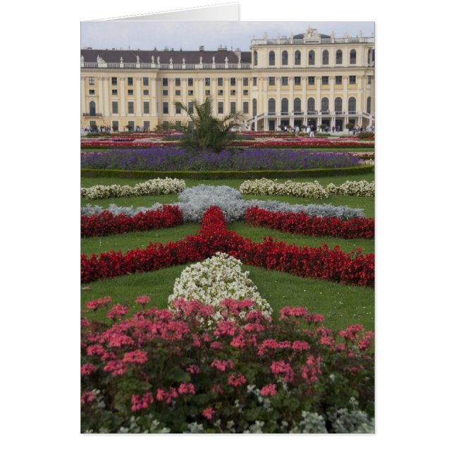 Cartão Áustria, Viena. Maria Theresa's (Frente)