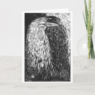 Cartão Autoplaca sombra Raven