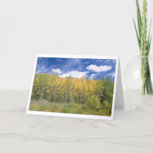 Cartão Autumn Aspen Glory Note