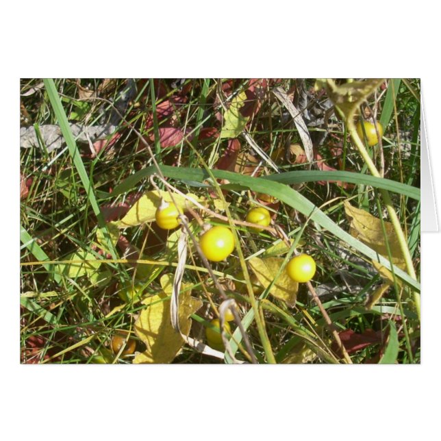 Cartão Autumn Berries (Frente Horizontal)